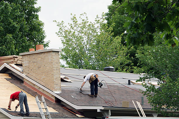 Best Roof Gutter Cleaning  in Southern Shops, SC